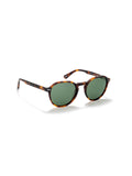One Active Brown Polarized Sunglasses
