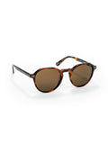 One Active Brown Sunglasses