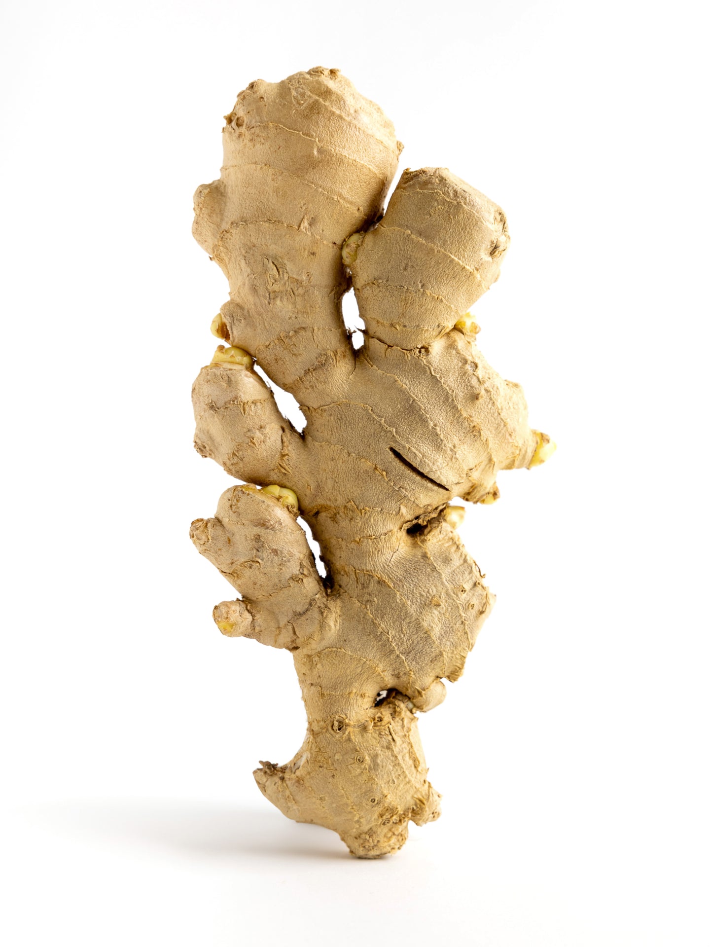 Set Perfume & Pulseiras One Velvet - OJSETP02