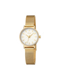 Reloj ONE Daily Round Gold