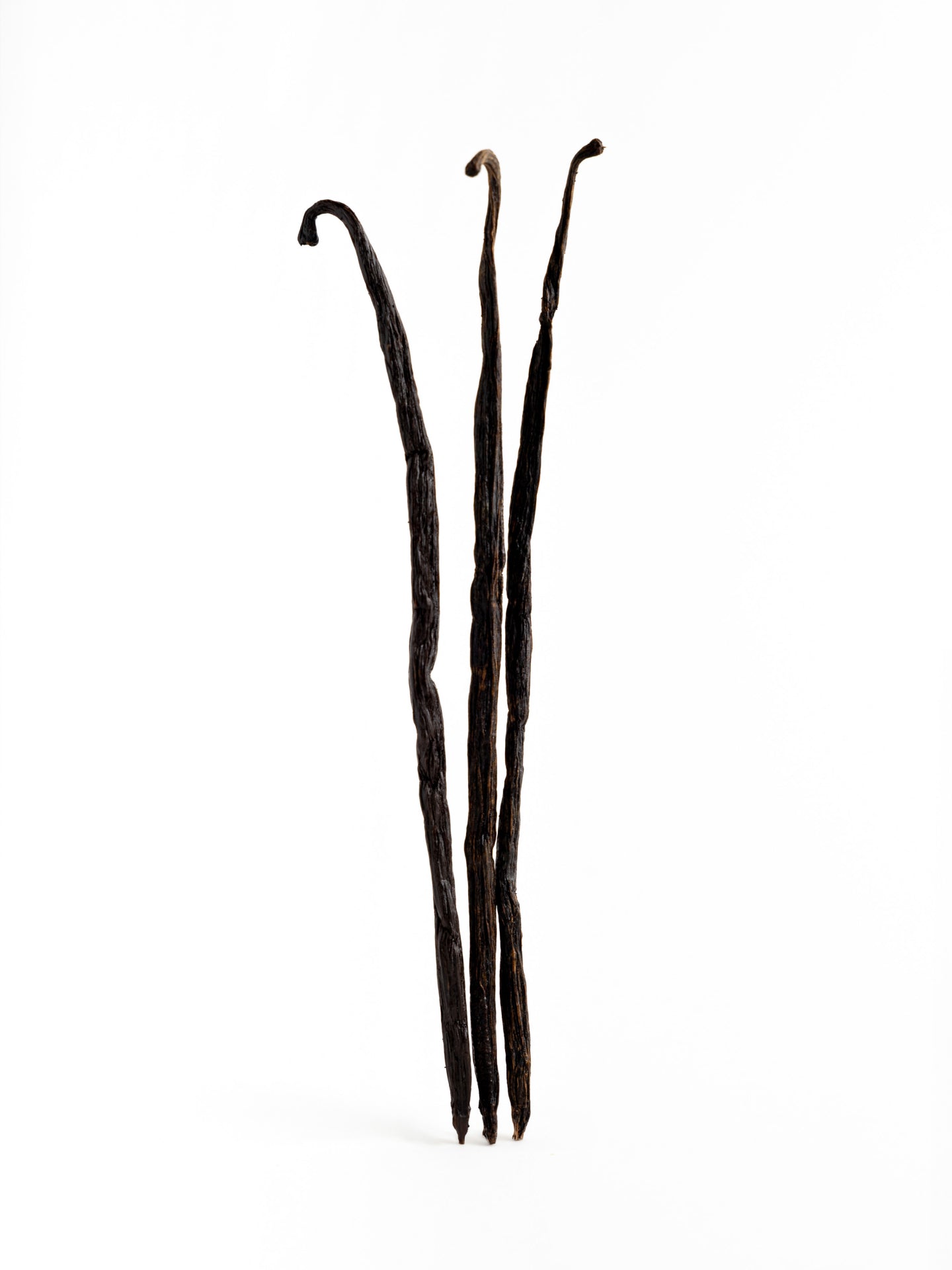 Perfume One Bloom - OPS5201