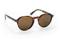 ÓCULOS DE SOL ONE ACTIVE CASTANHO - OSHS4552TCC322H